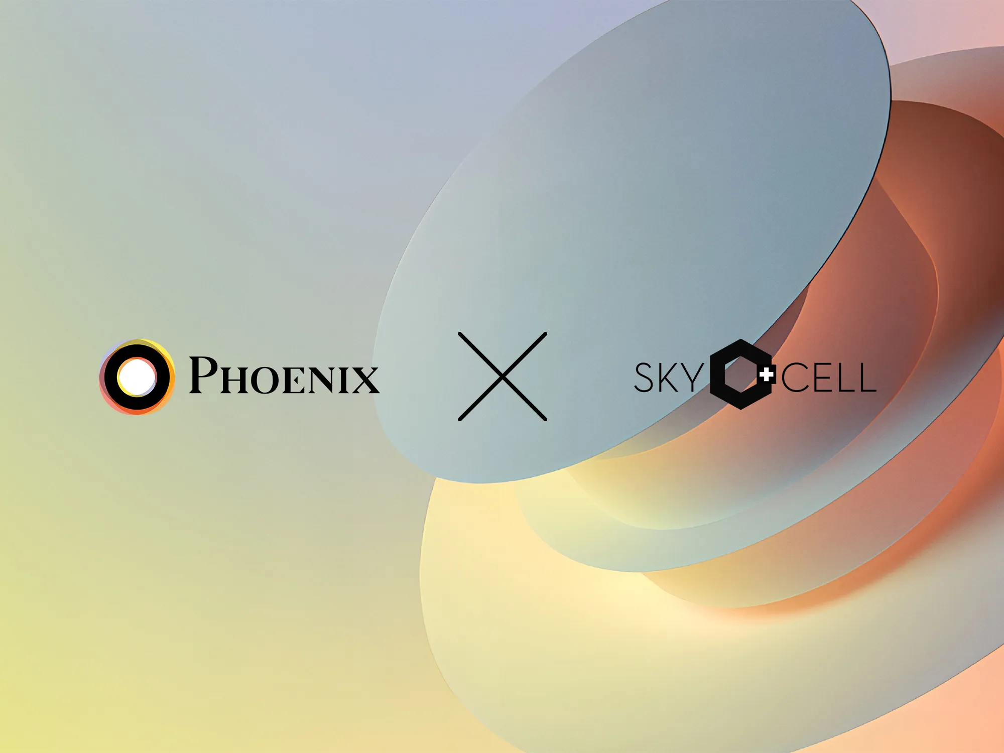 SkyCell Case Study